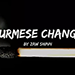 Mario Tarasini presents Burmese Change - Zaw Shinn video DOWNLOAD