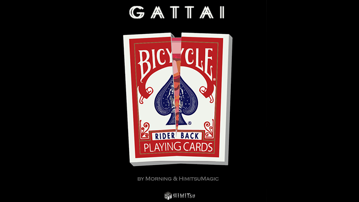 Gattai - Morning & Himitsu Magic