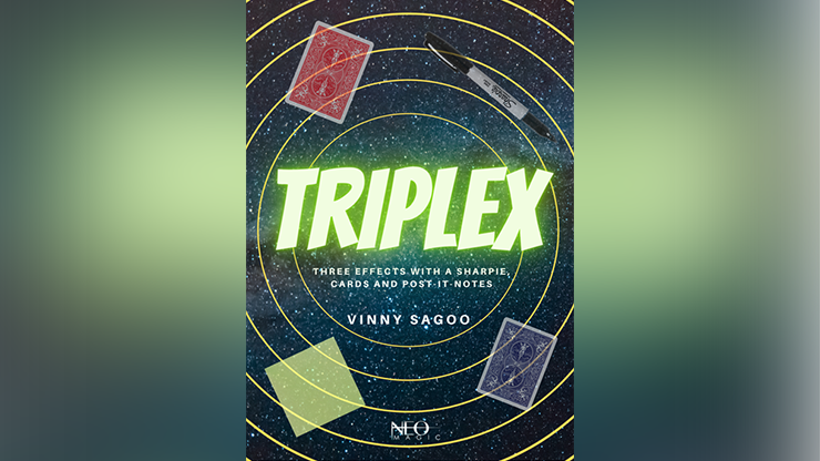 Triplex - Vinny Sagoo eBook DOWNLOAD