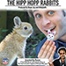HIPP HOPP RABBIT (2pk) - Rocco & Shaun Jay
