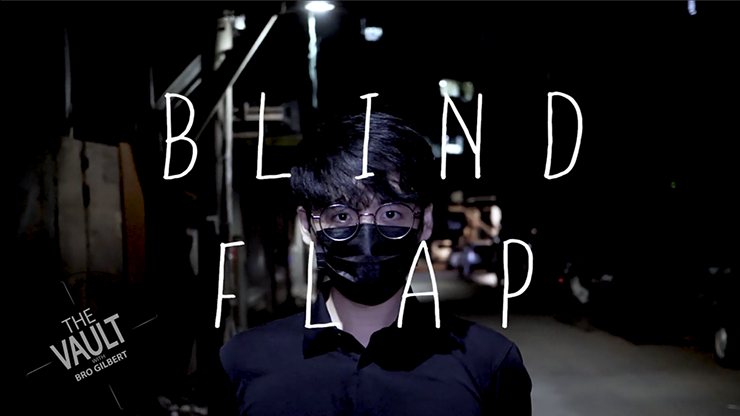 The Vault  Blind Flap Project - PH and Mario Tarasini video DOWNLOAD