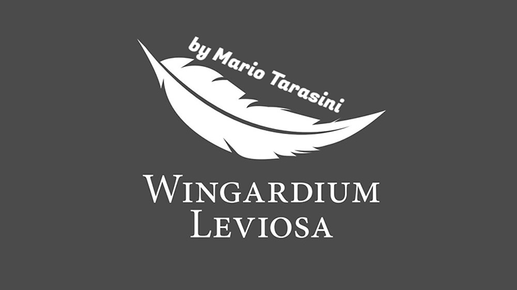 Wingardium Leviosa - Mario Tarasini video DOWNLOAD