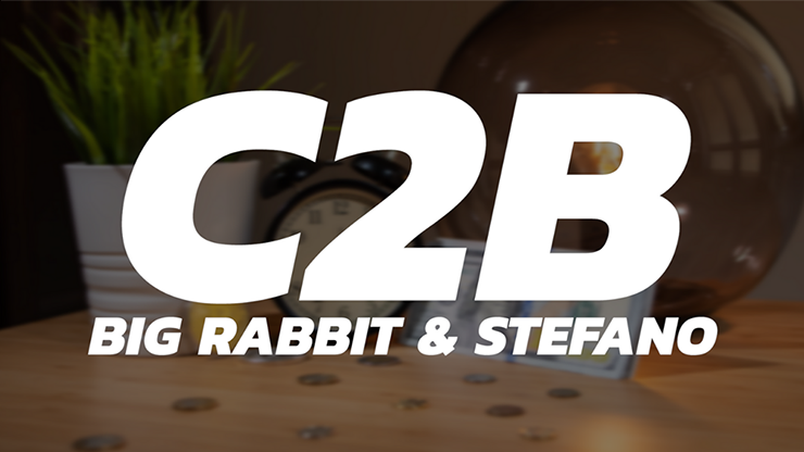 C2B - Big Rabbit & Stefano video DOWNLOAD