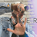 FINKER BY JEY LILLO VIDEO DOWNLOAD FINKER BY JEY LILLO VIDEO DOWNLOAD