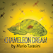 CHAMELEON DREAM BY MARIO TARASINI VIDEO DOWNLOAD