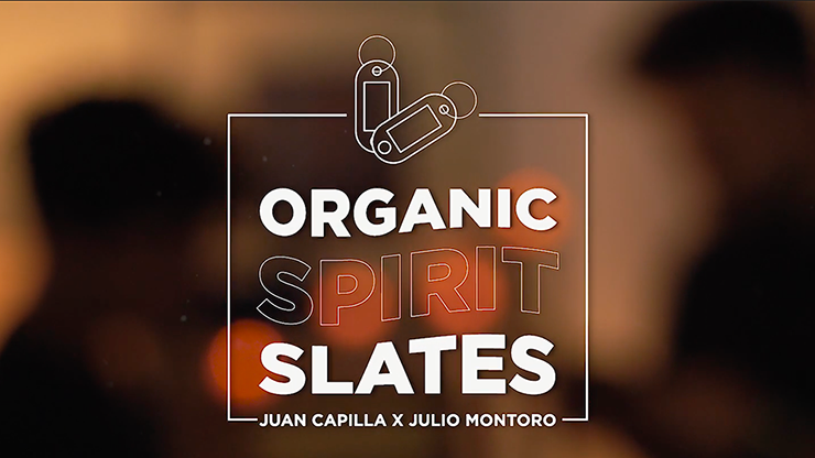 Organic Spirit Slates  by Juan Capilla and Julio Montoro