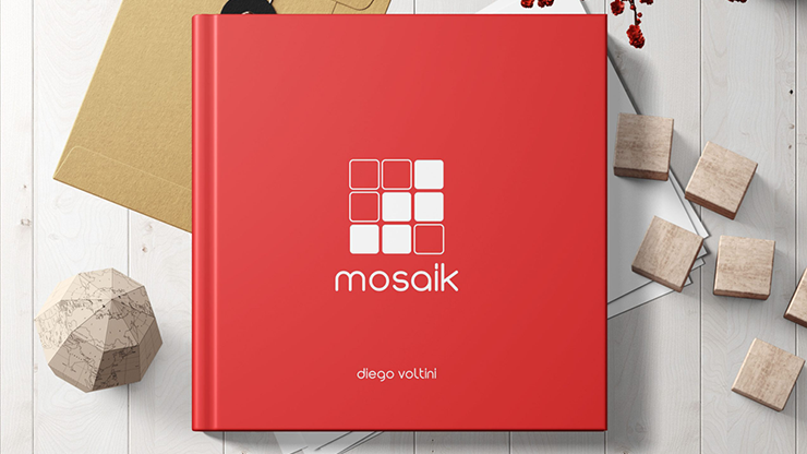 MOSAIK - Diego Voltini  Book