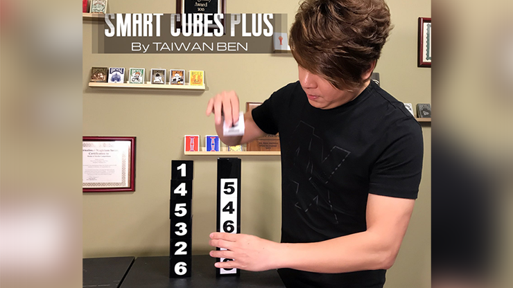 Smart Cubes PLUS (Medium / Parlor) - Taiwan Ben