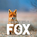 FOX BY ESYA G VIDEO DOWNLOAD FOX BY ESYA G VIDEO DOWNLOAD