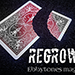 REGROWN BY EBBYTONES VIDEO DOWNLOAD REGROWN BY EBBYTONES VIDEO DOWNLOAD