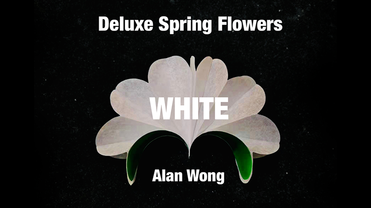 Deluxe Spring Flowers WHITE - Alan Wong