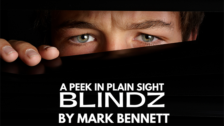 Blindz  by Mark Bennett