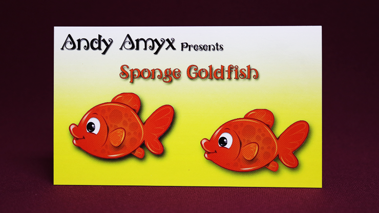 SPONGE GOLDFISH by Andy Amyx