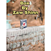 Box - Zaw Shinn video DOWNLOAD