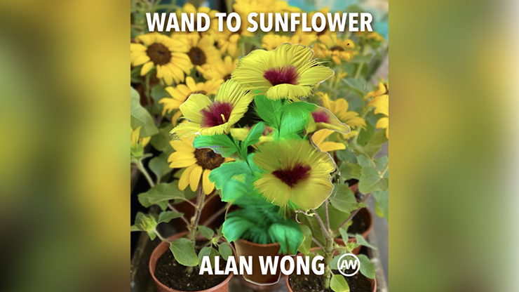 WAND TO SUNFLOWER LARGE - Alan Wong