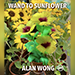 WAND TO SUNFLOWER LARGE - Alan Wong