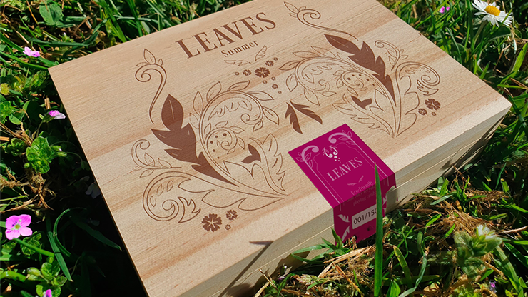 Wooden Leaves Summer Box Set Playing Cards - Dutch Card House Company