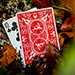 Bonfires Red (includes Card Magic Course) - Adam Wilber and Vulpine
