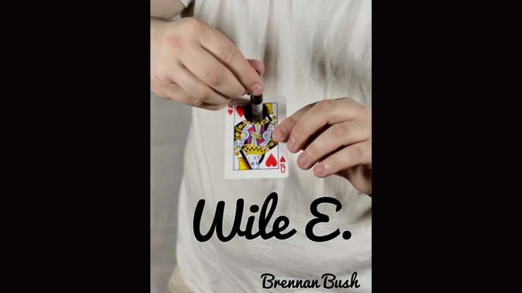 Wile E. - Brennan Bush video DOWNLOAD