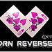 Torn Reversed - Zoen's video DOWNLOAD