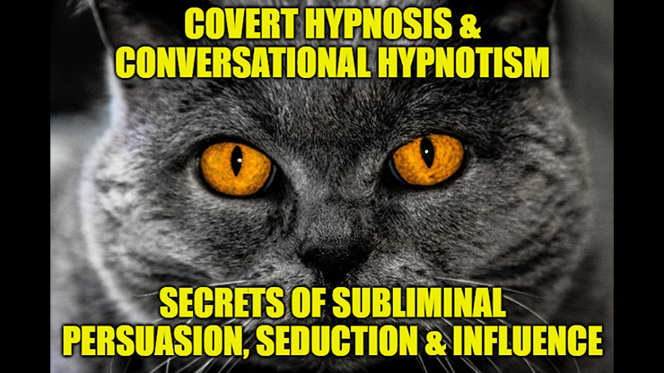 INTERPERSONAL NEURAL SYNCHRONYCovert Hypnosis, Conversational Hypnotism, Influence, Persuasion, Negotiation,Rapid Seduction & NLP Mind Control Secrets for Therapeutic Change, Pleasure,Profit, Entertai