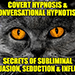 INTERPERSONAL NEURAL SYNCHRONYCovert Hypnosis, Conversational Hypnotism, Influence, Persuasion, Negotiation,Rapid Seduction & NLP Mind Control Secrets for Therapeutic Change, Pleasure,Profit, Entertainment & Success in Life By Dr. Jonathan Royle & Mr. Paul Gutteridge Mixed Media DOWNLOAD