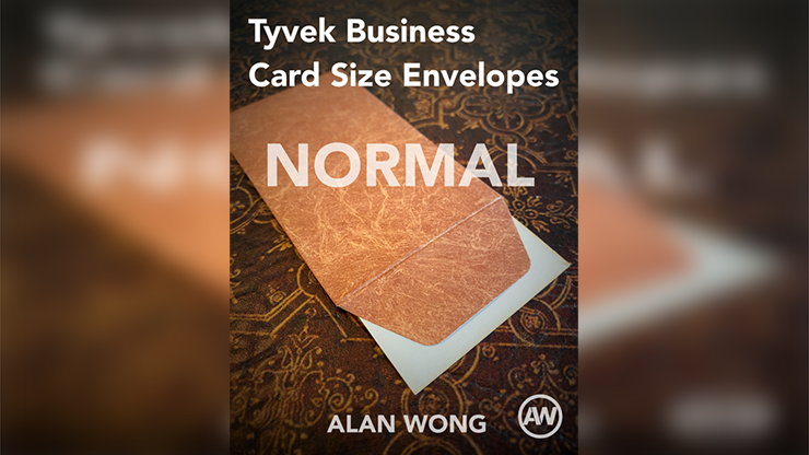 Tyvek Business Card Size Envelopes (10 pk.) - Alan Wong