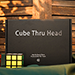 The Cube Through Head - David Penn and TCC