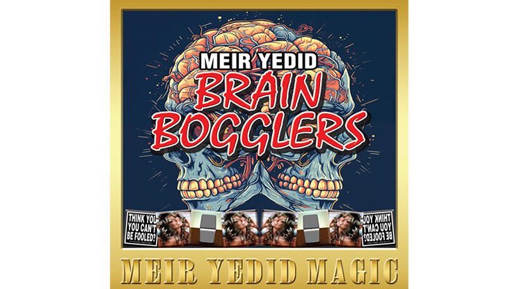 Brain Bogglers - Meir Yedid