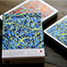 POLLOCK: Euchre Edition Deck