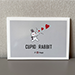 Cupid Rabbit - JT