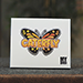 Caterfly (Blue) - My Magical Project