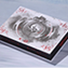 Martial Arts Collector's Set Playing Cards - King Star