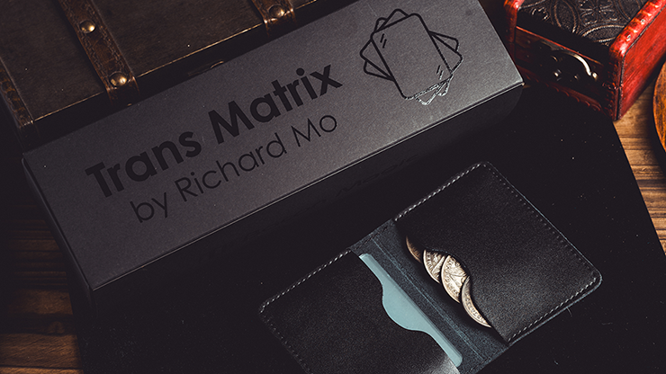 Transparent Matrix (Half Dollar) 2024 - Richard Mo