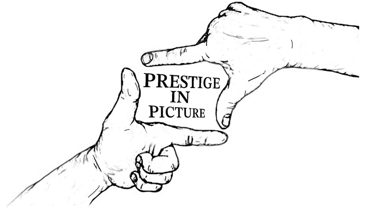 Prestige In Picture - Landon Stark eBook DOWNLOAD