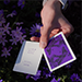 Dream of Butterflies by YD Cards