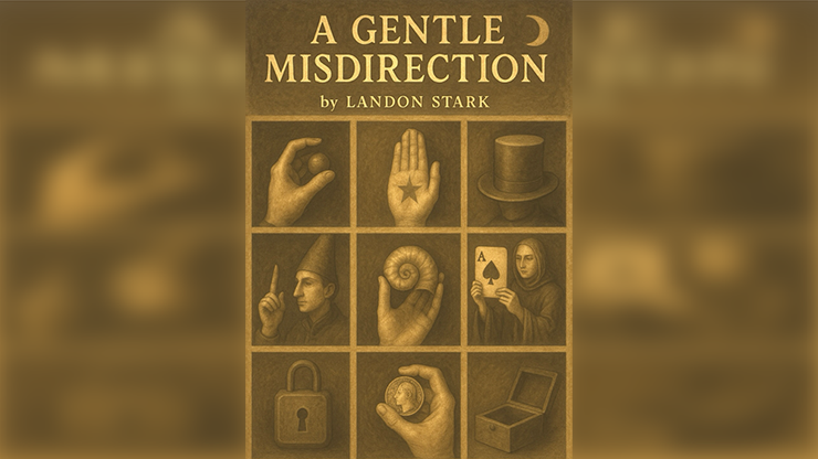 A Gentle Misdirection - Landon Stark eBook DOWNLOAD