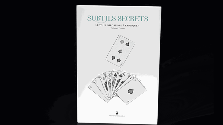 Subtle Secrets 2 - Thibault Ternon