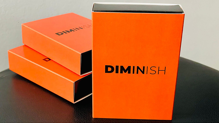 Diminish - Damian Surr