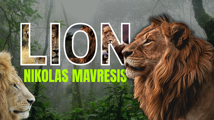 Lion - Nikolas Mavresis video DOWNLOAD