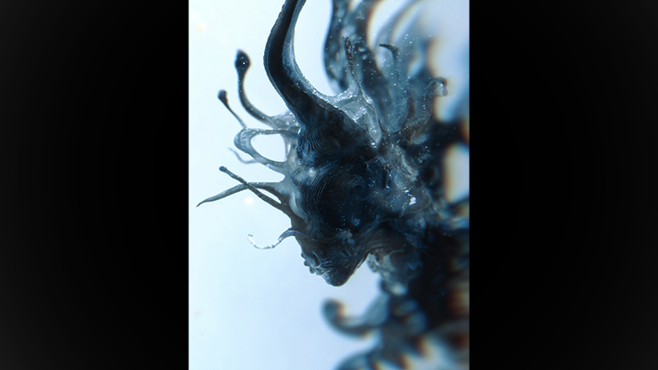 Progeny - Fraser Parker