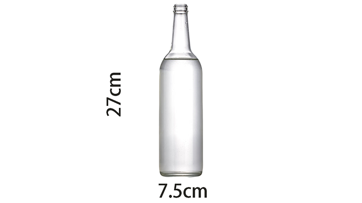 Self Exploding Transparent Beer Bottle (Large) - Wance