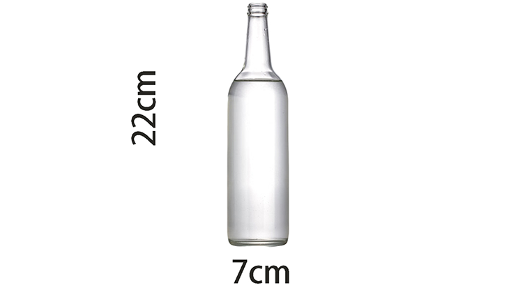 Self Exploding Transparent Beer Bottle (Small) - Wance
