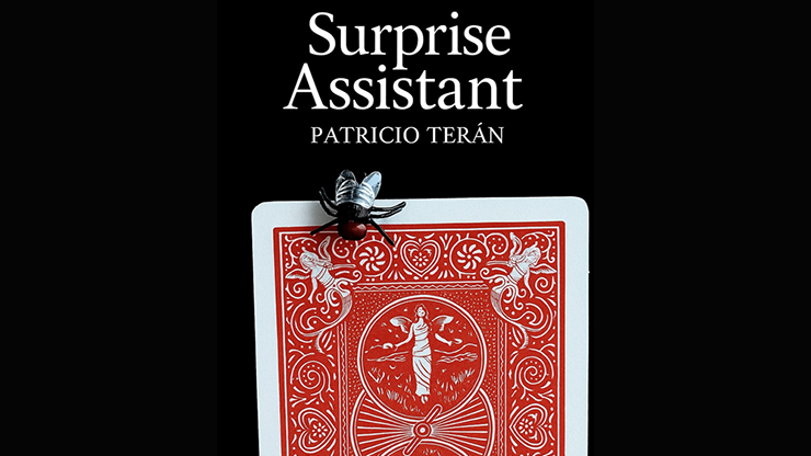 Surprise Assistant - Patricio Teran video DOWNLOAD