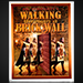 Walking Thru a Brick Wall - Martin Schwartz