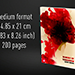 Babel Book Test 4 - Vincent Hedan (Memory of tomorrow), medium, 600 pages