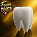 Foam Tooth 4