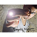 Small Vision - Dan Alex - VIDEO DESCARGA