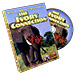 The Ivory Connection - Reed McClintock & Steve Dobson