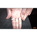 FREAK BY WILL HOUSTOUN VIDEO DOWNLOAD FREAK BY WILL HOUSTOUN VIDEO DOWNLOAD